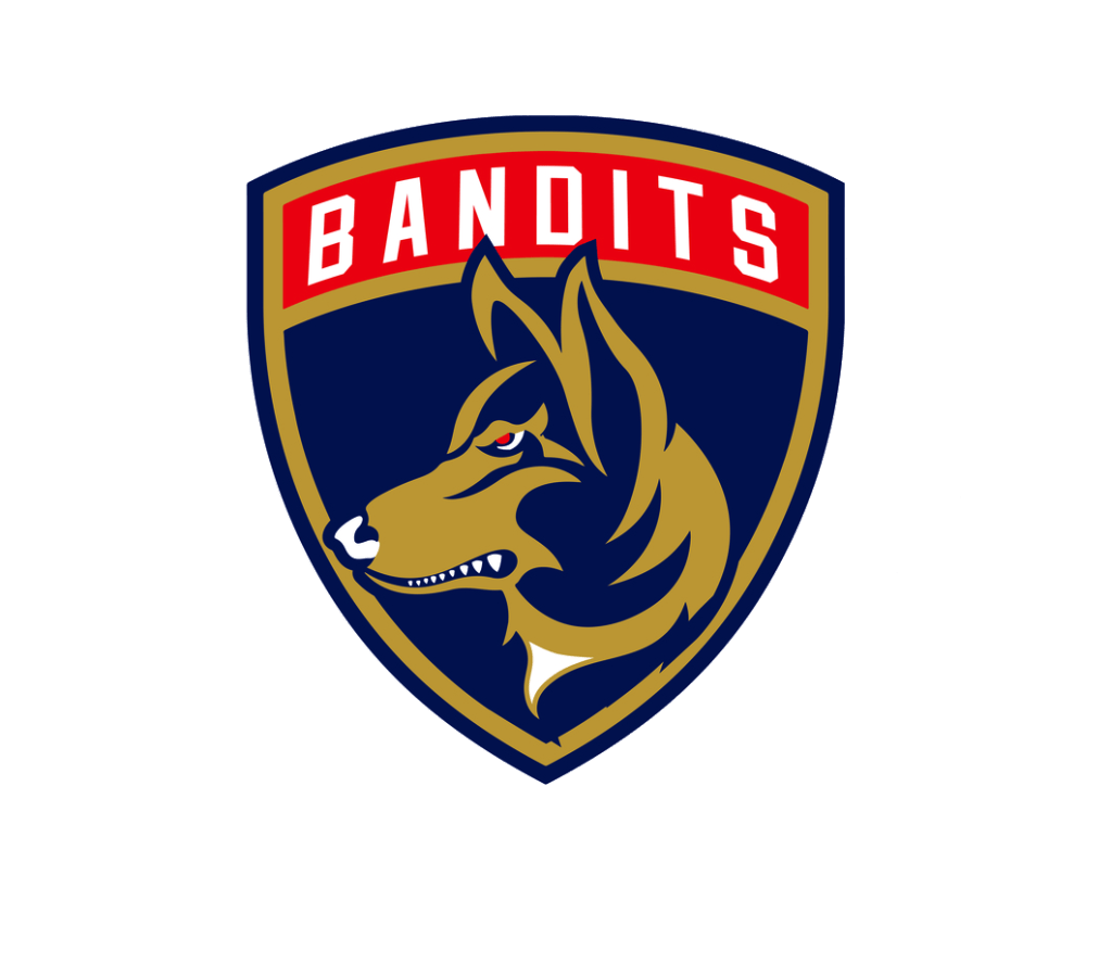 Ottawa Bandits Hockey Club Logo
